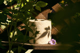 BAMBUM bamboo toilet paper roll in a botanical setting