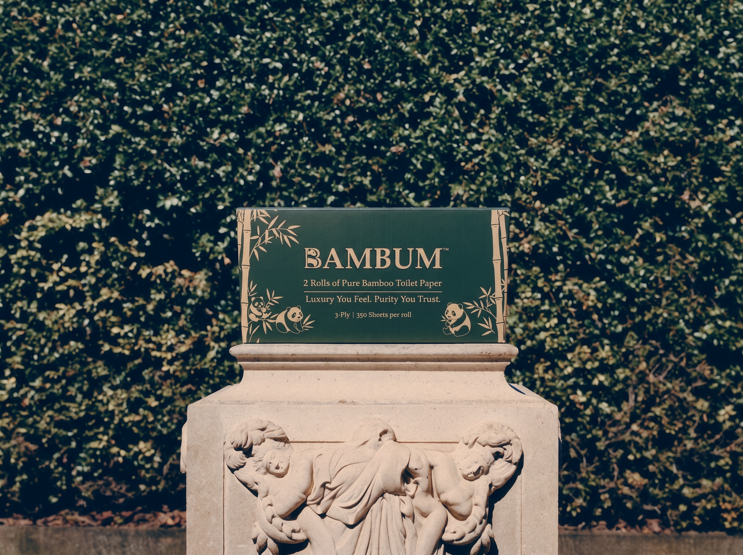 BAMBUM founding trial box presented in a garden